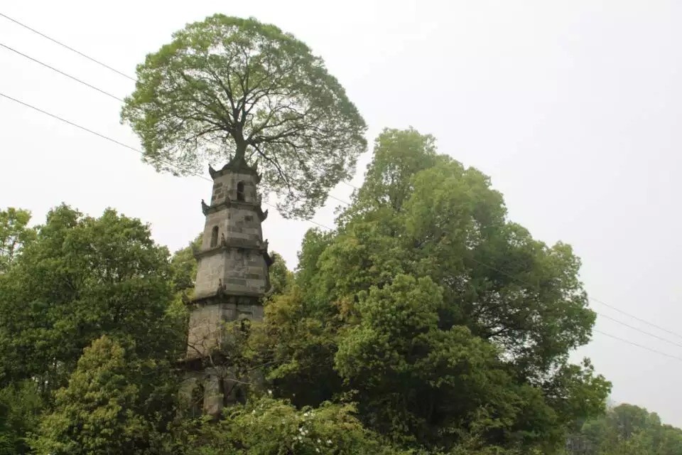 茶亭水库、燎原水库、山湖鹭岛、长沙港…...