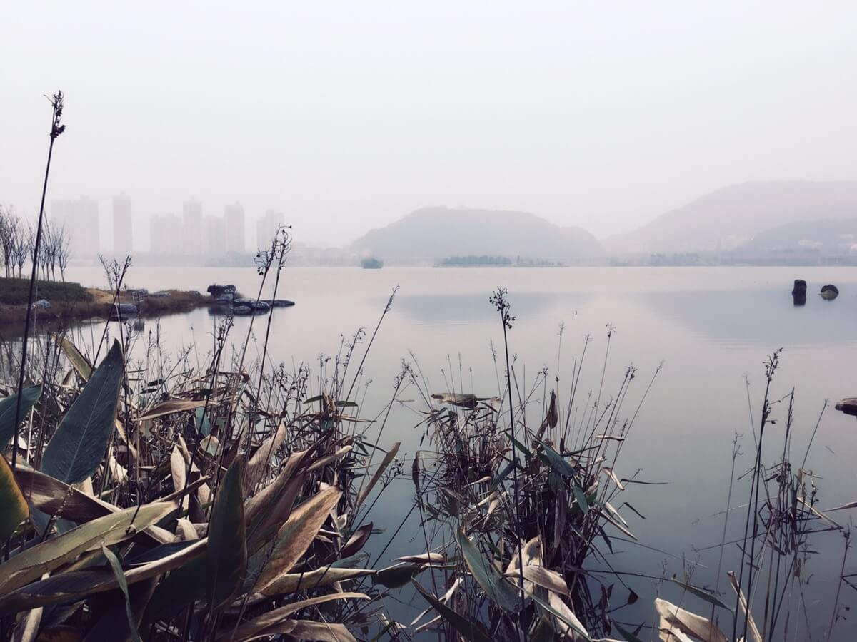 又到了西湖文化公园，咸嘉湖真大，人少还是挺舒服的。