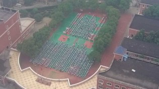 孩子们，大清早升国旗，吵到我了你们知道...