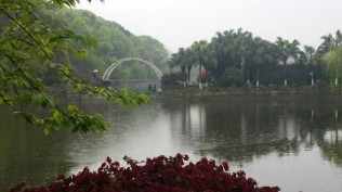 长沙王陵公园，嘻嘻！花好雨绵！