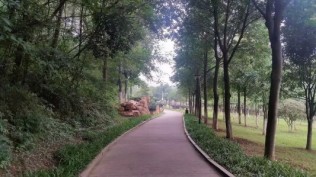 好久没有出去玩了……带父母星沙走起……