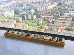 夏日炎炎，空调使得窗隔绝出两个世界…………而我庆幸是在里头。