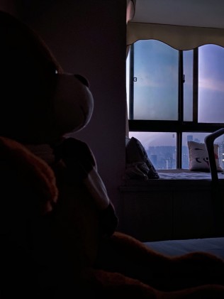 窗外蒙蒙亮，闹钟一直响。欣赏中……