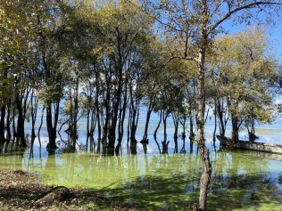 环游洱海第二天