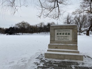 大雪中漫步圆明园