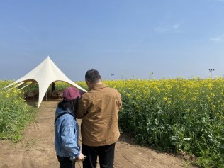 踏青：鹅洲岛&华谊兄弟电影小镇&晚安家居文化园