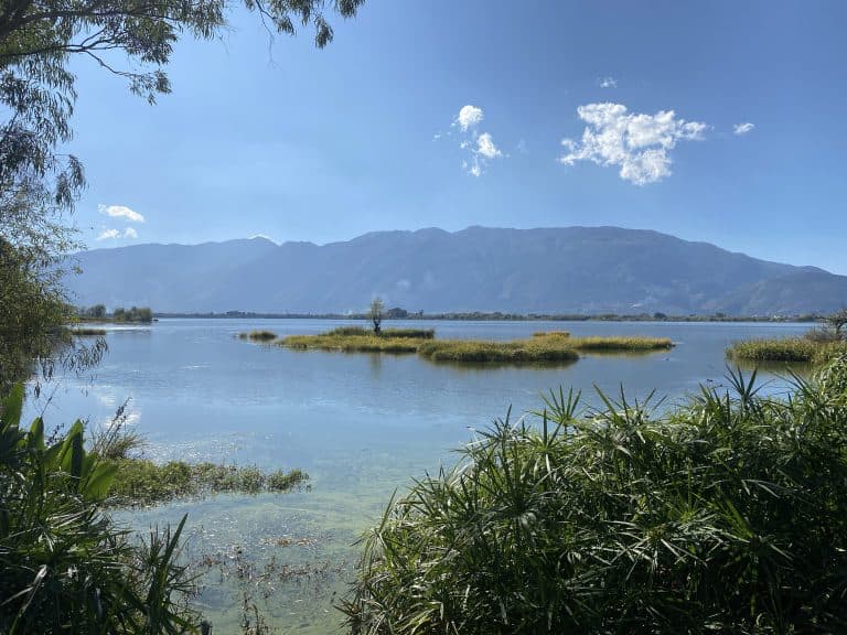 环游洱海第一天