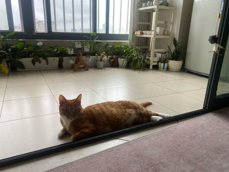 打完游戏，洗洗上班去……