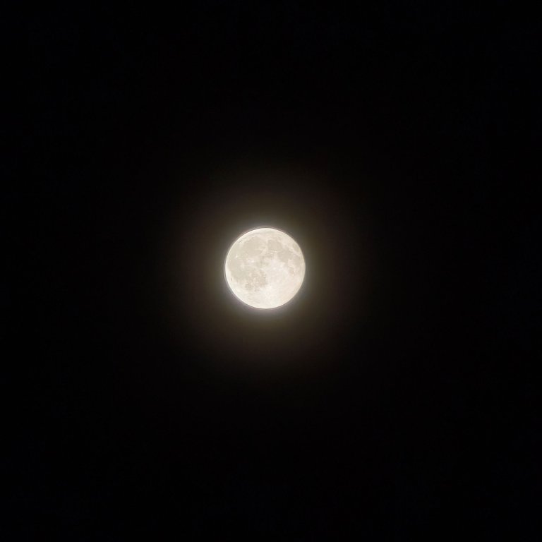 月到十七始得圆，天涯同赏晚来天。